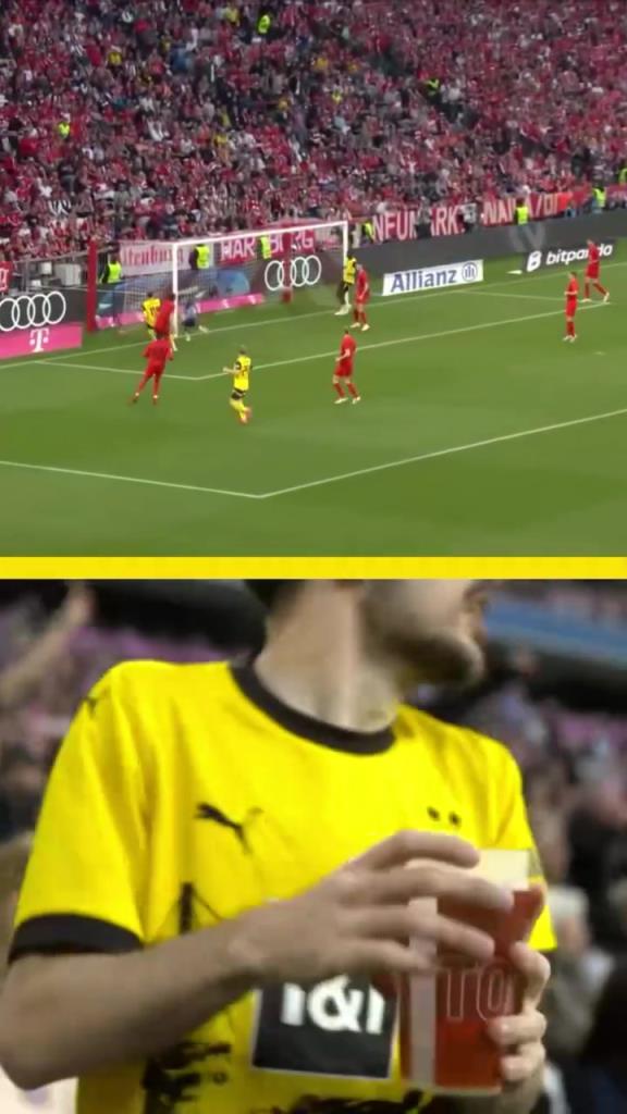 勇者無(wú)懼！這是真多特球迷！在拜仁球迷區(qū)一個(gè)人肆意慶祝！